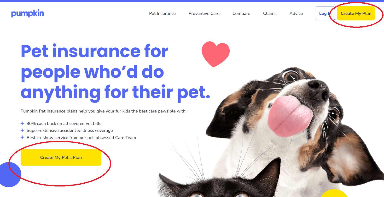 Clear CTA to minimize bounce rate